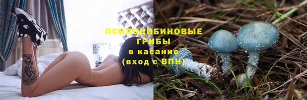 героин Белокуриха