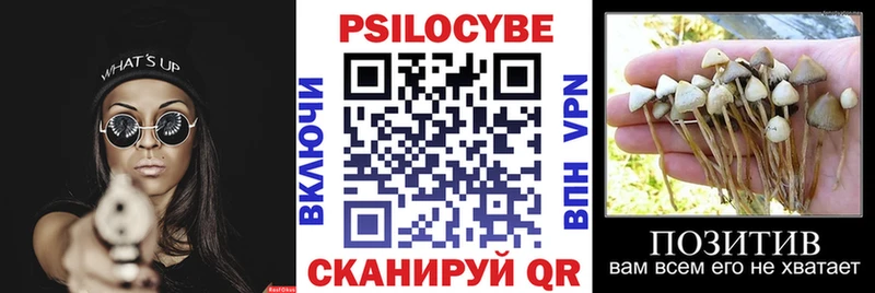 где купить   кракен   Псилоцибиновые грибы Cubensis  Кодинск 